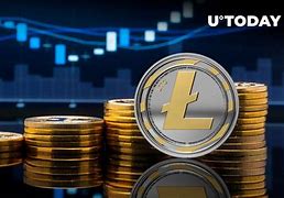 莱特币官网网址_莱特币官网网址是什么