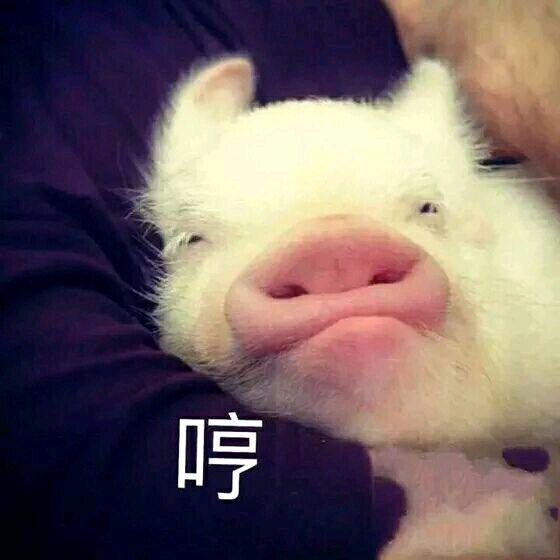 三条蛇仔缠大猪典故是什么_三条蛇仔缠大猪典故是什么动物