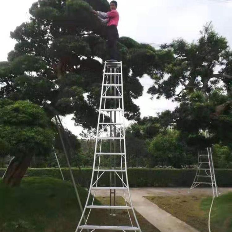 果园专用梯子图片大全_果园有没有自动升降梯子