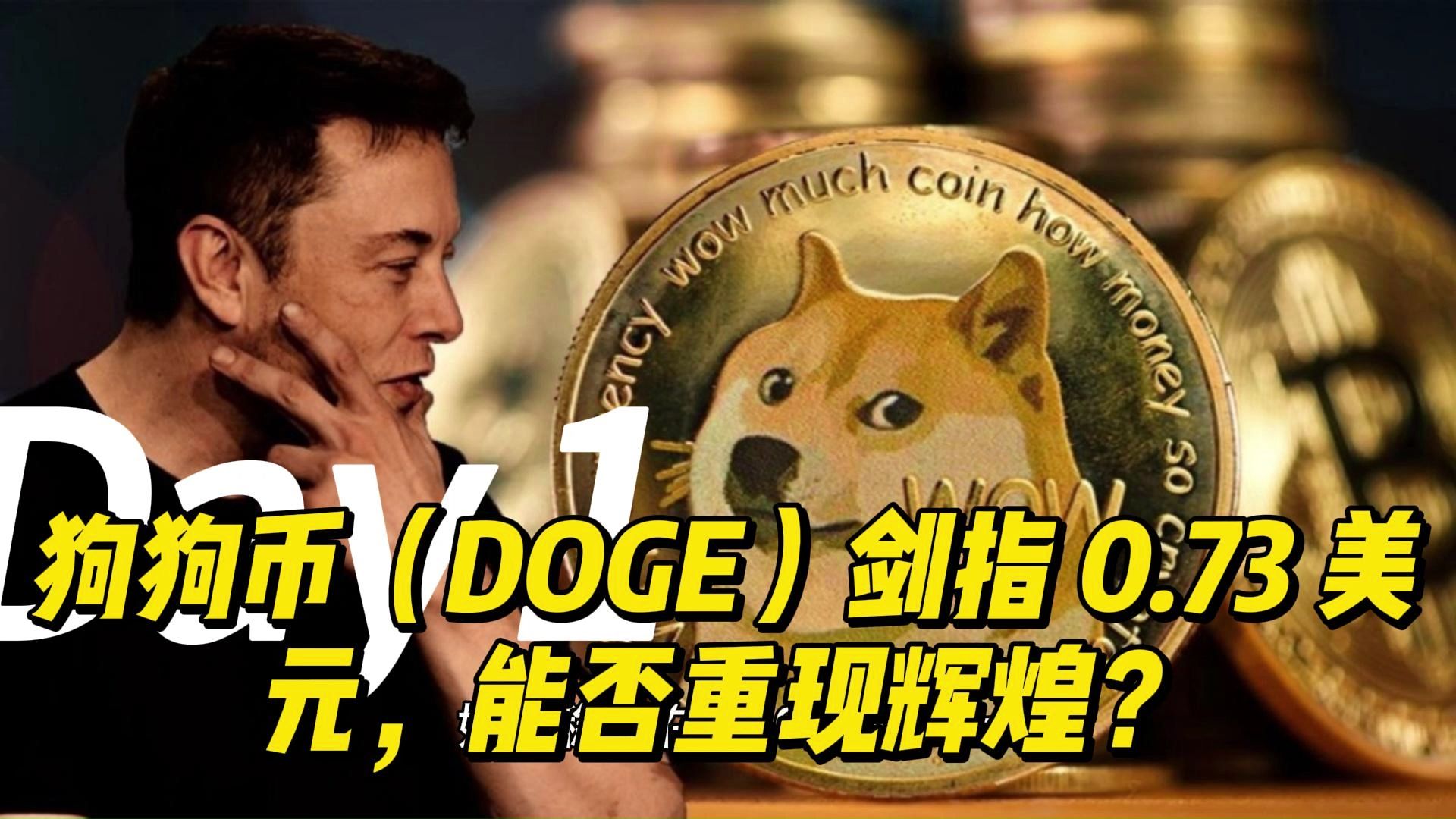 dogecoin狗狗币官网_dogecoin狗狗币是什么