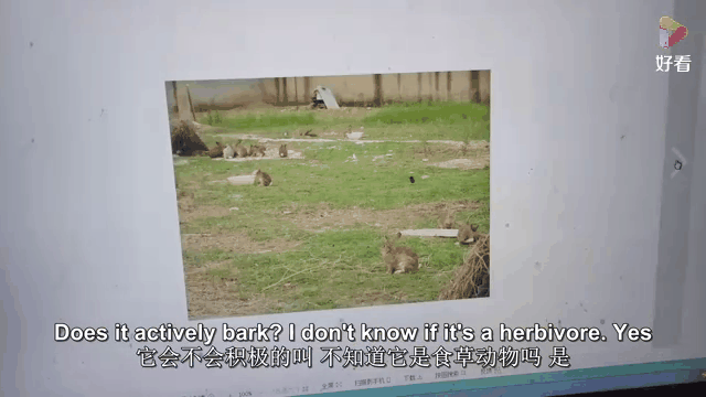 备多力分猜一动物_备多什么什么的成语