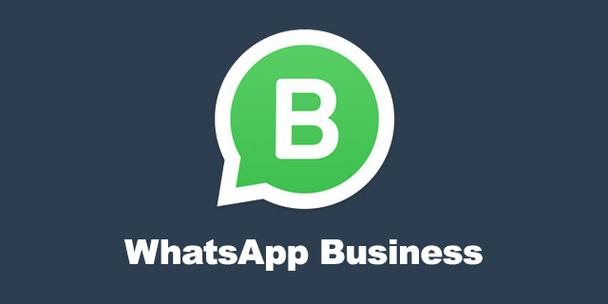 whatsapp官网APP下载_whatsapp官方网下载最新版