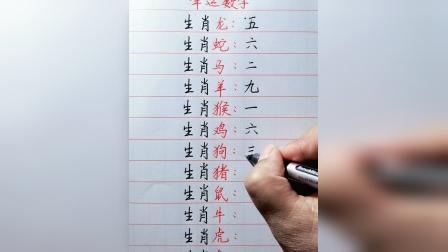 澳门49码十二生肖_澳门49码十二生肖图2025年