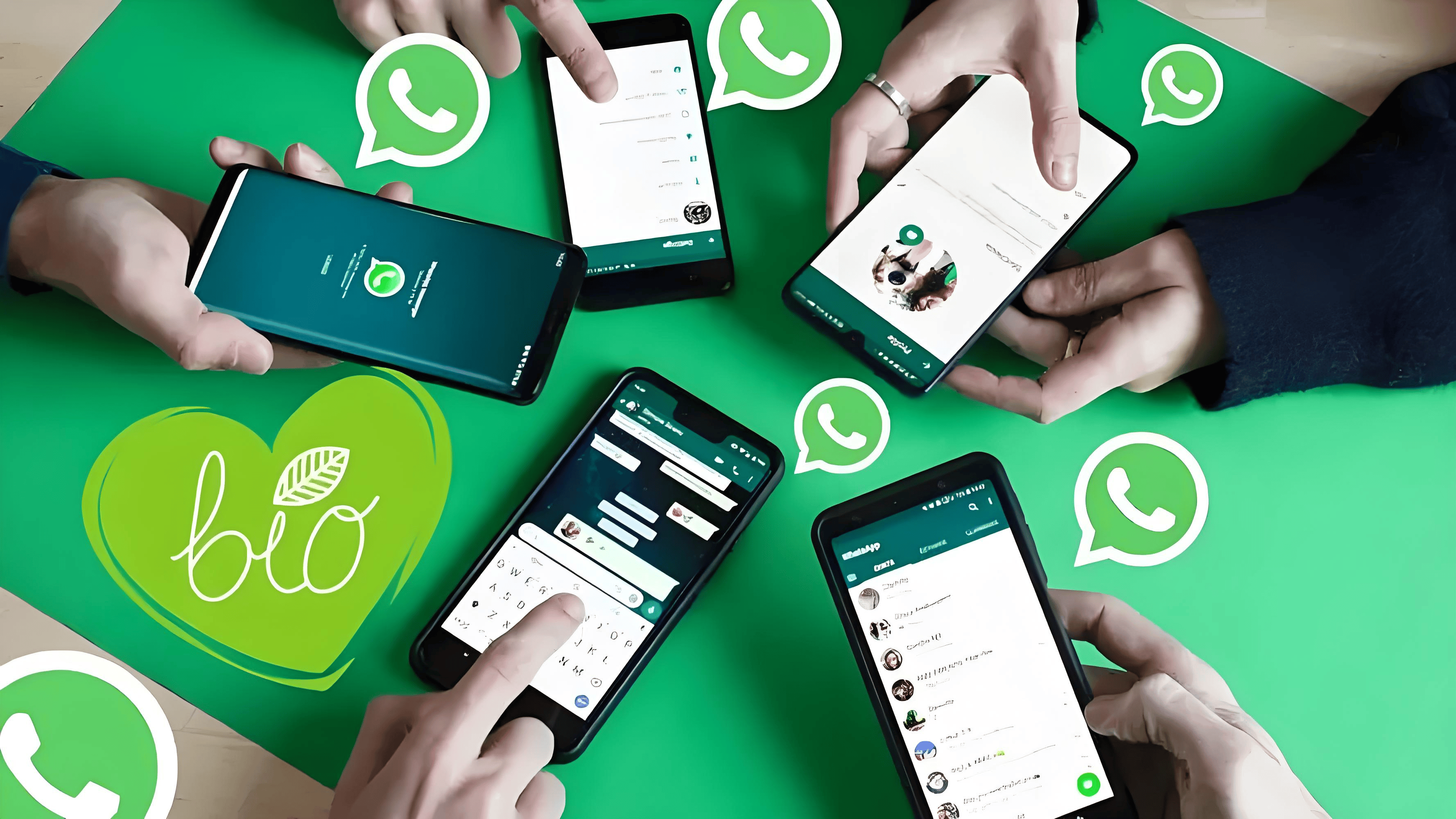 官网whatsapp下载安装_whatsapp官网下载安卓版本