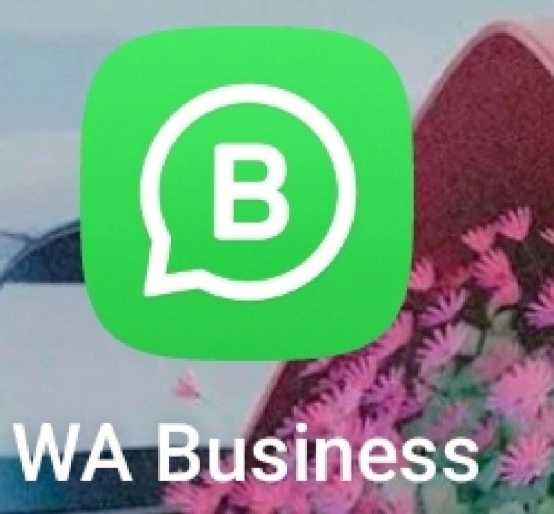 whatsappbusinessappdownload的简单介绍