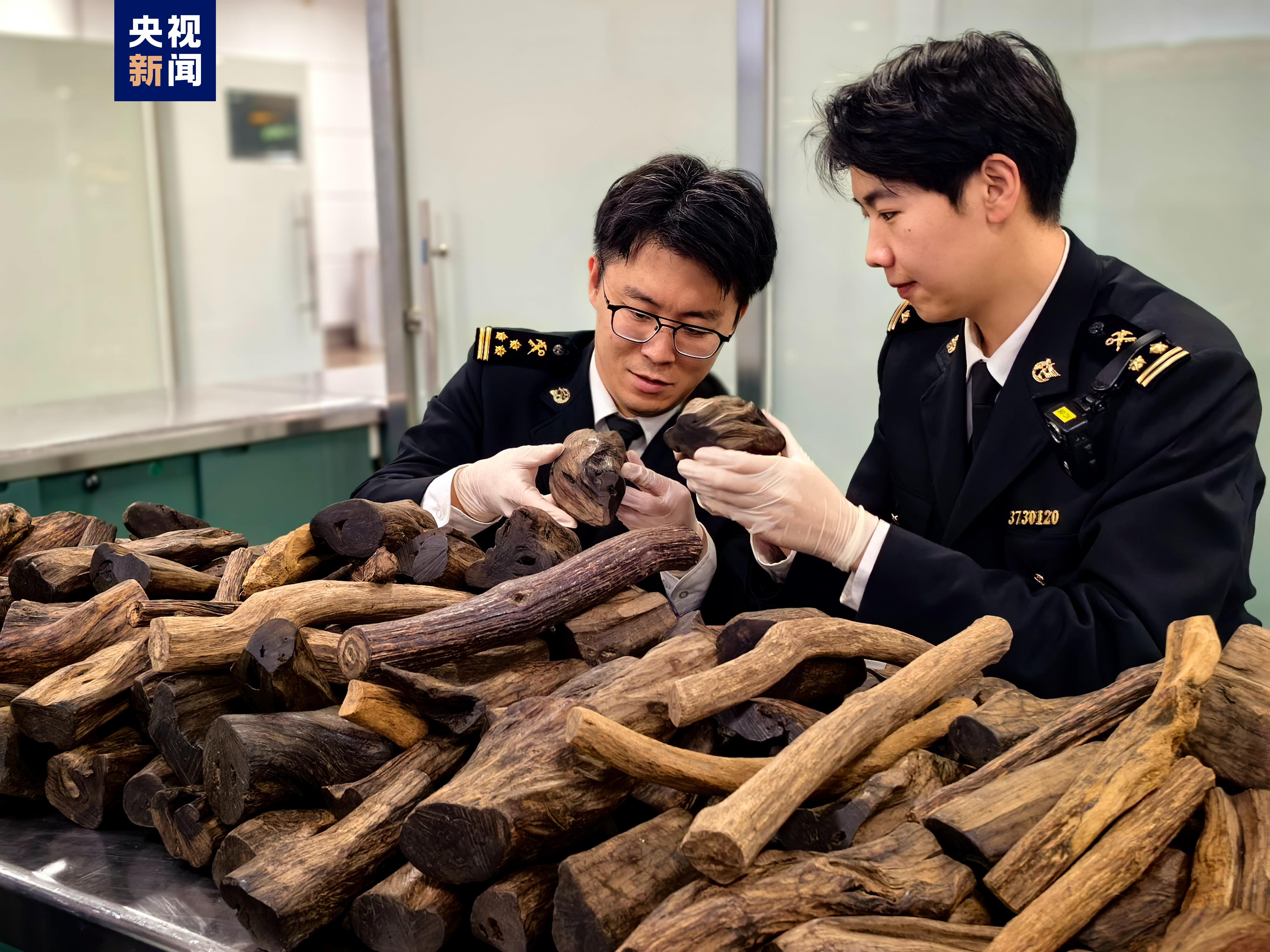 海关查获矿机_海关查获美国病毒