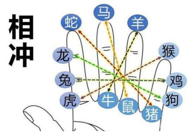 细羊足玄机是指什么生肖_细羊足玄机是指什么生肖?