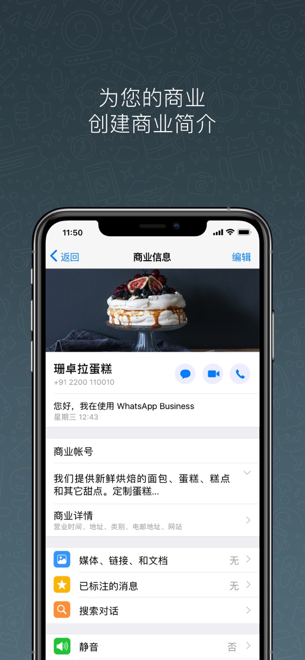 whatsapp2020下载_whatsapp 2020年最新版本下载
