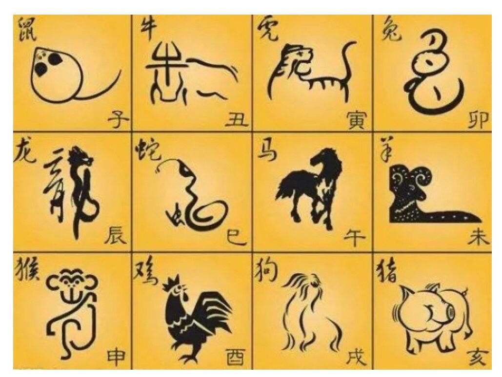 今期生肖六六来是什么生肖_今期生肖六六来是什么生肖吗