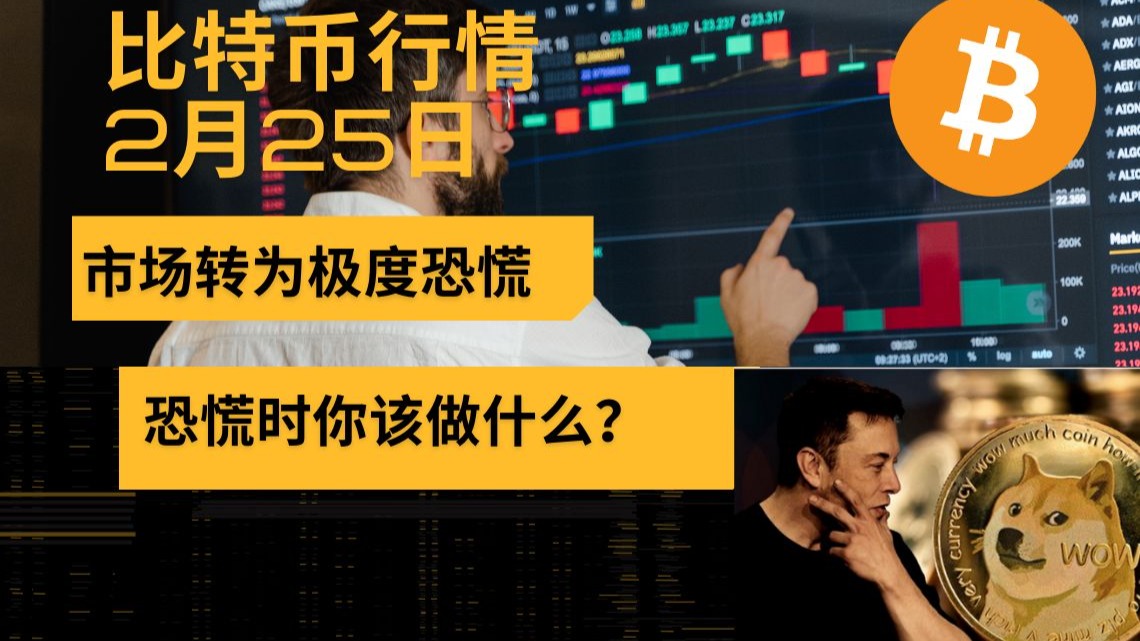 虚拟币恐慌_虚拟币恐慌贪婪指数