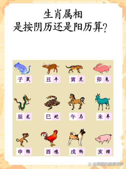 请问六字是什么生肖_请问六字是什么生肖动物