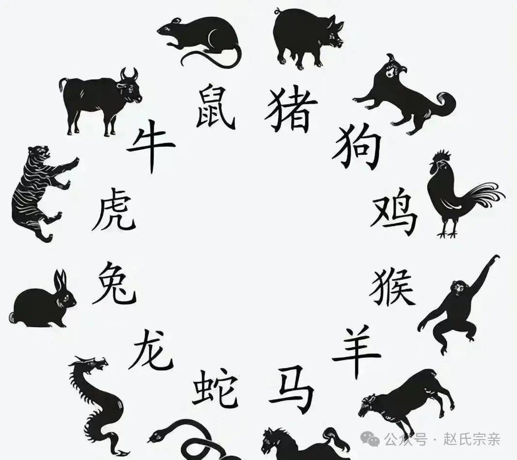 今期生肖六六来打一肖_今期生肖六六来是什么动物