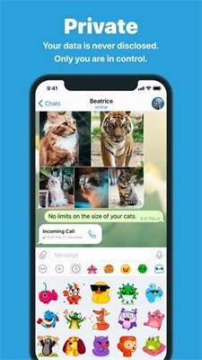 关于老版telegeramX的信息