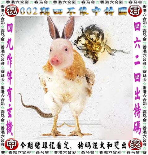 今期六字出玄机解生肖_今期生肖六字出代表数字几
