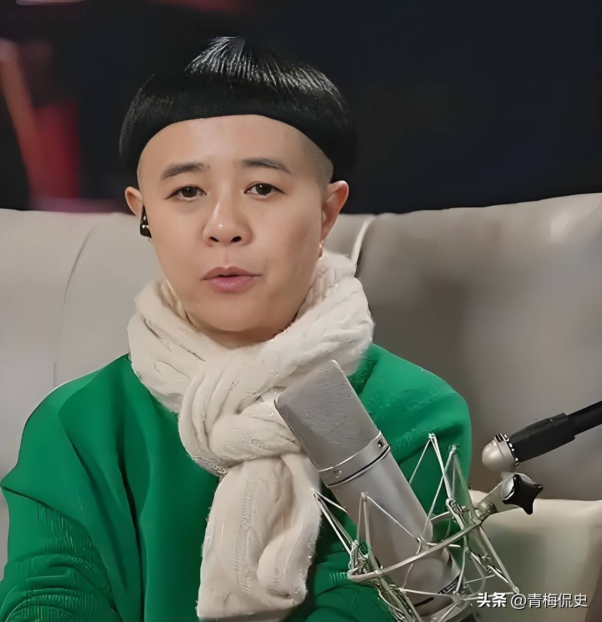金龟子发型变化原因_金龟子的头发是真的吗