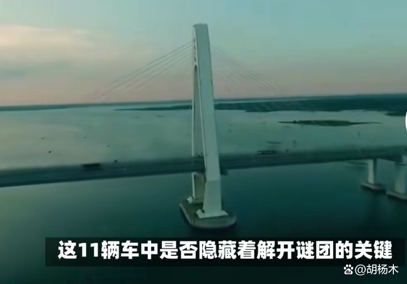 飞行员大桥失联_飞行员大桥失联原因