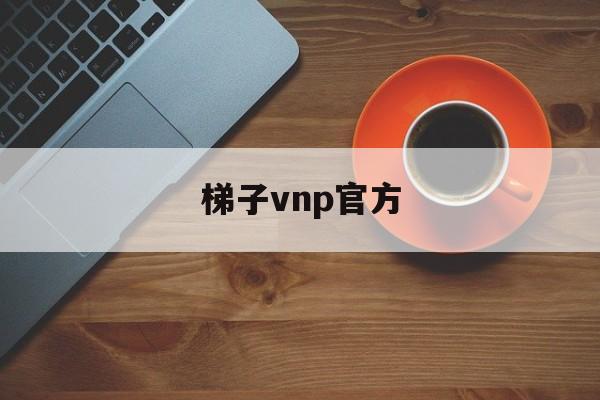 梯子vnp官方_好用梯子vqn推荐